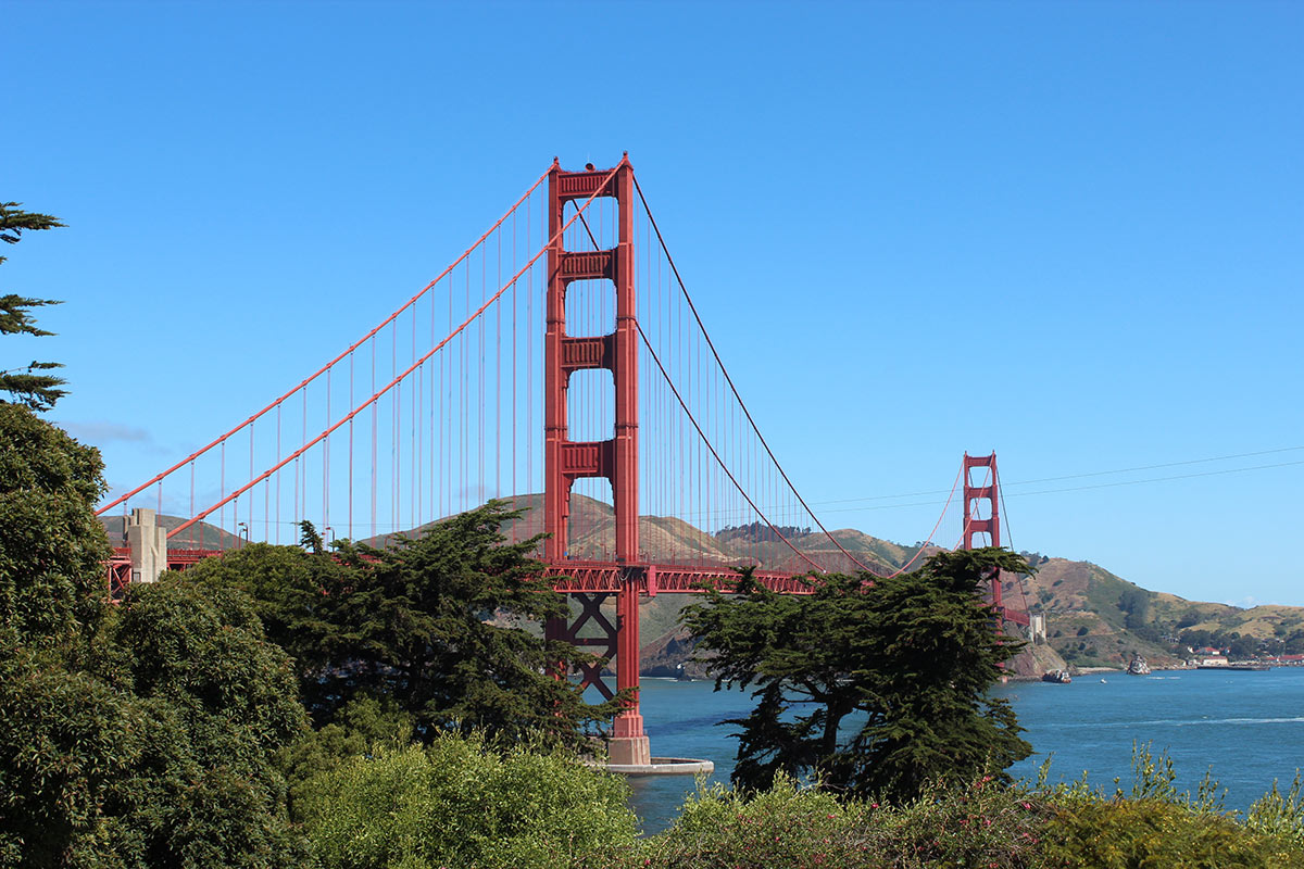 Um tour em San Francisco para descobrir o melhor pão sourdough