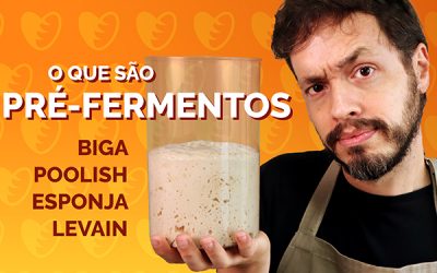 O que são pré-fermentos: Biga, Poolish, Esponja, Pâte Fermentée e Levain